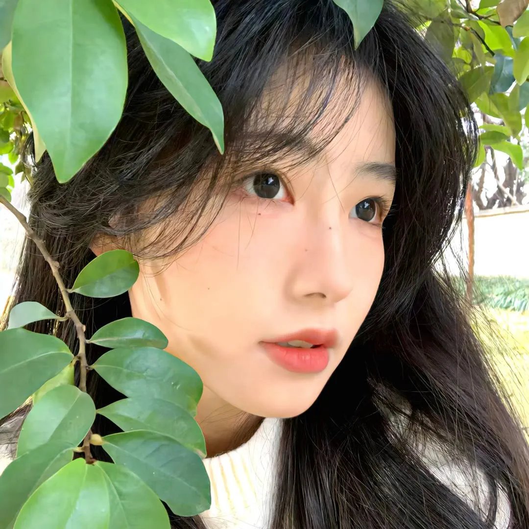 鲨与鲸